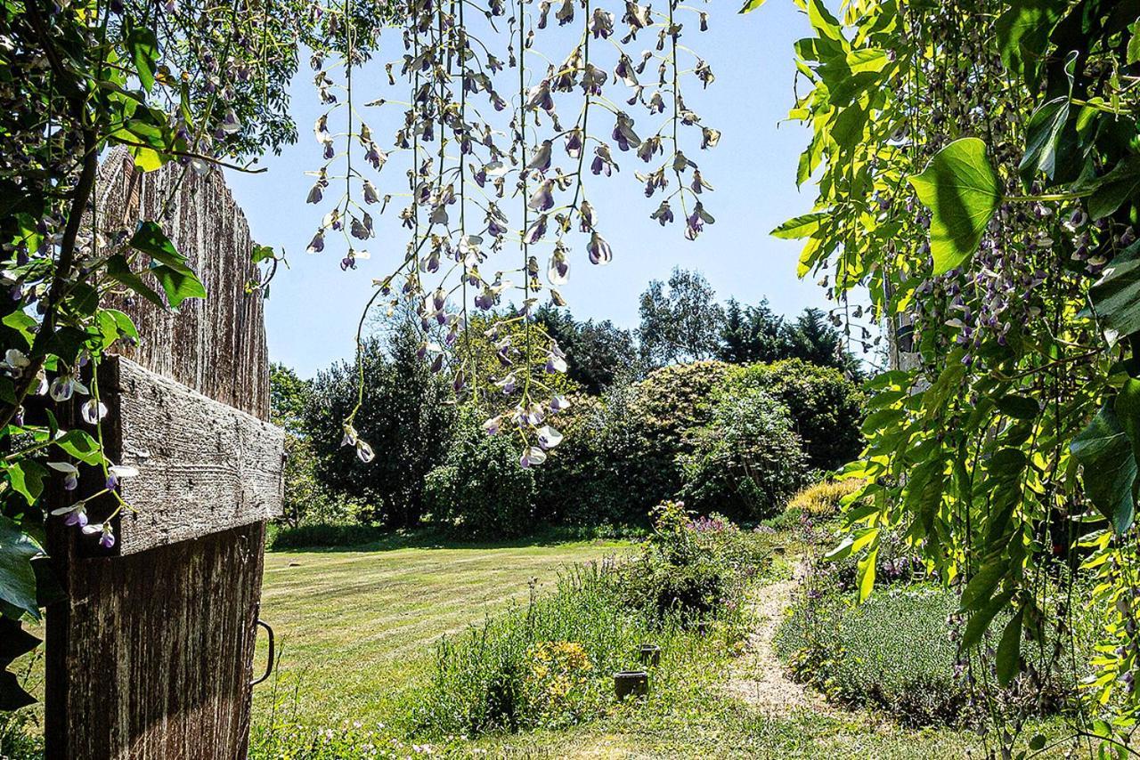 Cosy Wolf Bed & Breakfast Freshwater Εξωτερικό φωτογραφία